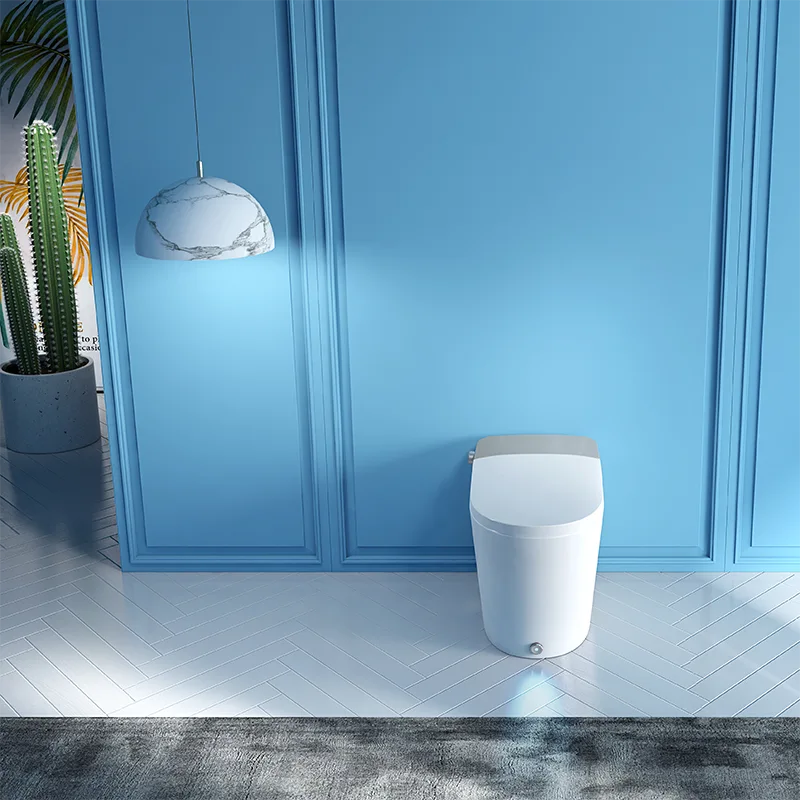 CanLux Smart Toilet