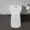 Duravit DuraStyle Two-piece toilet bowl only