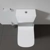 Duravit DuraStyle Two piece toilet for shower toilet seat