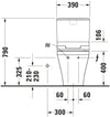 Duravit DuraStyle Two piece toilet for shower toilet seat