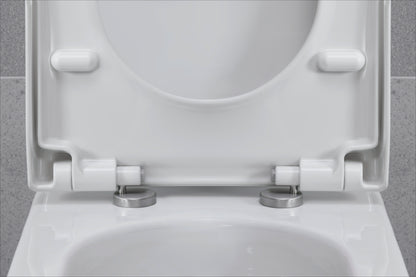 Duravit Universal Toilet seat
