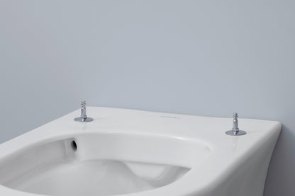 Duravit White Tulip Toilet seat