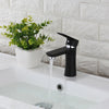 BOSTON Single Hole Bathroom Faucet - F11150