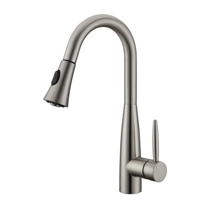 DAVISON Pull-down Dual Spray Kitchen Faucet - F23113
