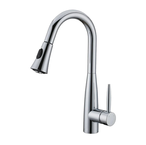 DAVISON Pull-down Dual Spray Kitchen Faucet - F23113