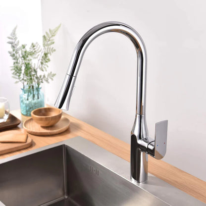 TIMELYSS Pull-down Dual Spray Kitchen Faucet - F23134