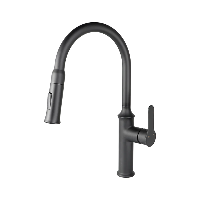 VUITTON Pull-down Dual Spray Kitchen Faucet - F23900
