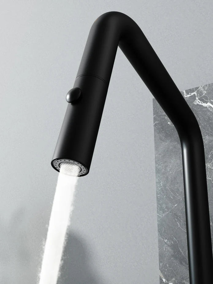 Kodaen New Style Main Sink & Bar Sink Faucet