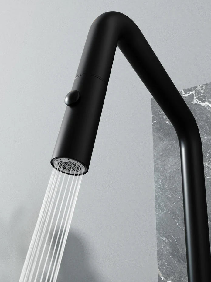 Kodaen New Style Main Sink & Bar Sink Faucet