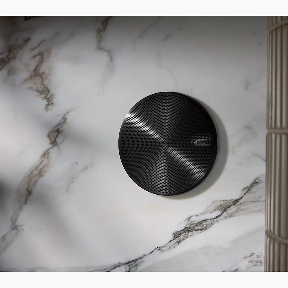 Kohler Shower speakers