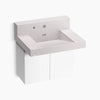 Kohler 30" wall-mount lavatory system with backsplash