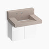 Kohler 30" wall-mount lavatory system with backsplash