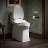 Kohler PureWash® E725