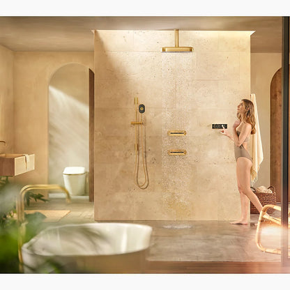 Kohler Digital control