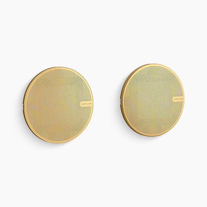 Kohler Shower speakers