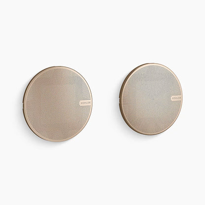 Kohler Shower speakers