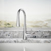 Kohler Tone®