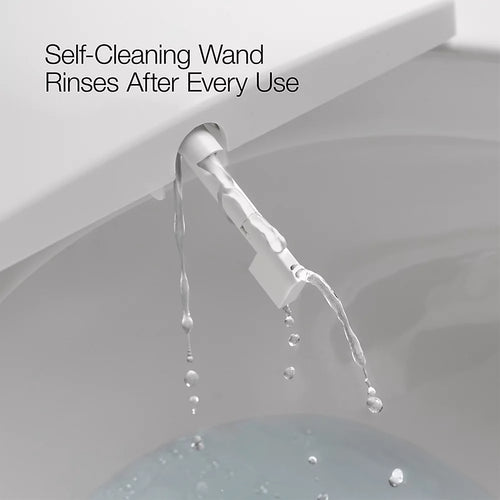 Kohler PureWash® E580