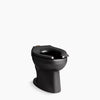 Kohler Wellcomme™ Ultra Floor-mount top spud flushometer bowl with bedpan lugs