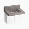 Kohler 30" wall-mount lavatory system with backsplash