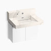 Kohler 30" wall-mount lavatory system with backsplash