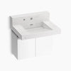 Kohler 30" wall-mount lavatory system with backsplash