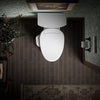 Kohler PureWash® E725