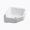 Kohler Floor-mount corner service sink