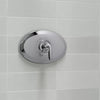 Kohler Remodel Rite-Temp® valve trim