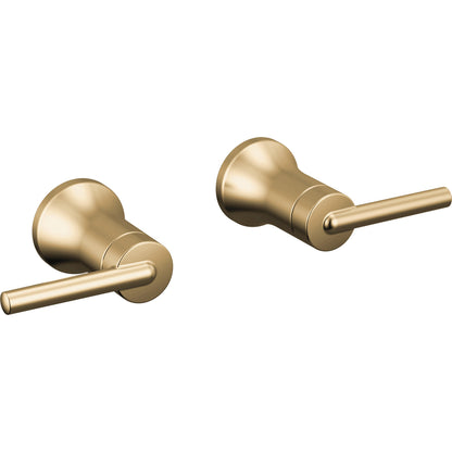 Delta Lever Handle -Wall Mount