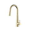 Aquaflo Echo Pull-Down Kitchen Faucet - KFE16