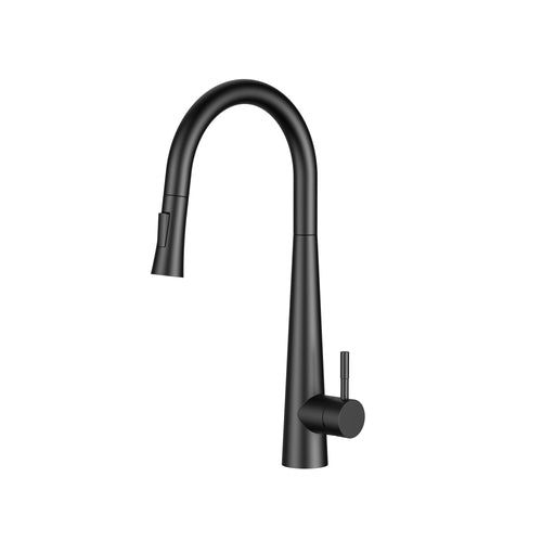 Aquaflo Echo Pull-Down Kitchen Faucet - KFE16
