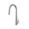 Aquaflo Echo Pull-Down Kitchen Faucet - KFE16