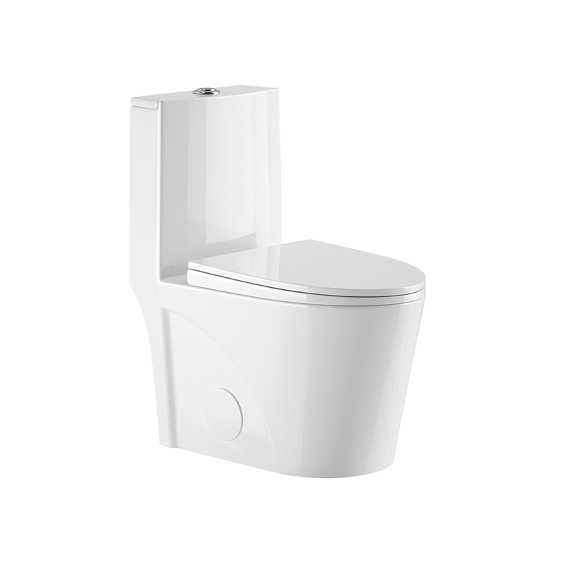 ALPS Dual Flush One Piece Toilet 1.6/1.1 gpf - Golzar Home