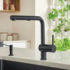 Blanco Linus Kitchen Faucet