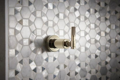 Litze Sensori Volume Control Trim - Industrial Lever lifestyle