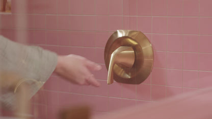 Moen Lindor Towel Ring