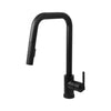 Kodaen Cascade F23200 Pull-Down Kitchen Faucet