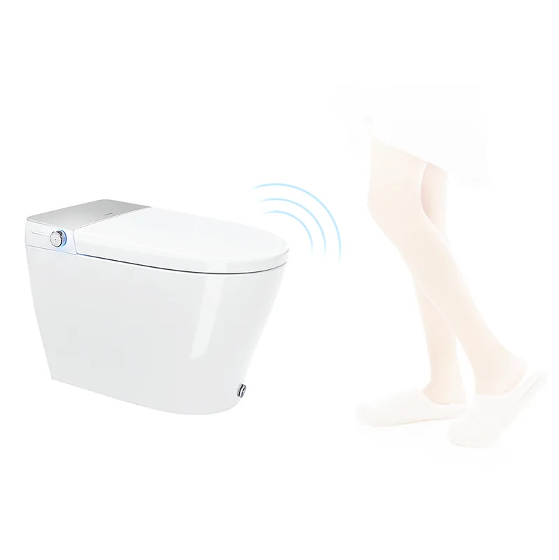 Canluxe Smart Toilet