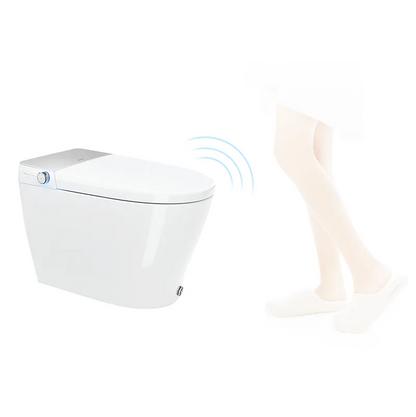 Canluxe Smart Toilet