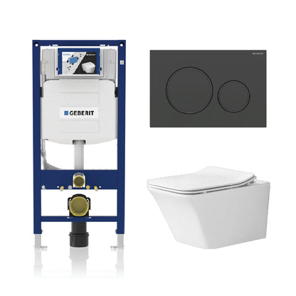 Alps Jewel Wall-Mounted Elongated Toilet Dual-Flush 1.6/1.1 gpf with seat & Geberit Carrier