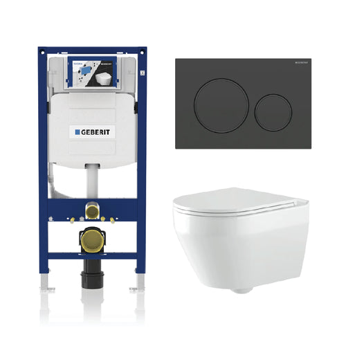 Alps Aaron Wall-Mounted Elongated Toilet Dual-Flush 1.6/1.1 gpf with seat & Geberit Carrier