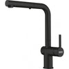 FRANKE Active Pull-Out Faucet - ACT-PO-PWT