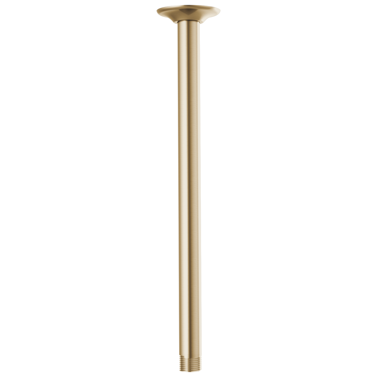 Essential Shower Series 14" Ceiling Mount Shower Arm And Round Flange - Brilliance® Luxe Gold®