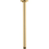 RP100470PG