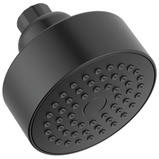 Delta - Showerhead In Shower Head