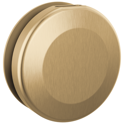 Delta SteamScape Classic System - Round Steam Head In Lumicoat® Chrome