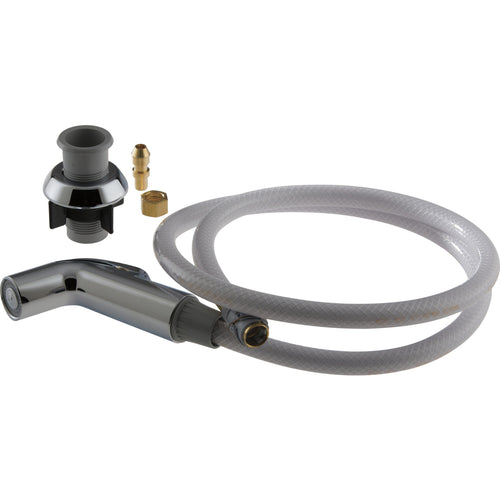 Quick-Snap Vegetable Spray & Hose Assembly - Chrome