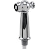 Victorian Hose & Spray Assembly, Chrome - Chrome