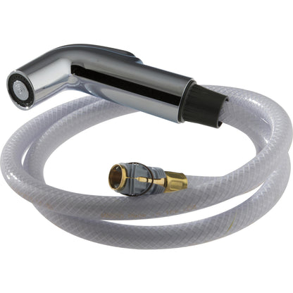 D/ds Spray & Hose Assembly - Chrome